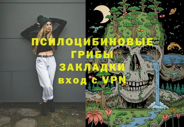 соль ск Белокуриха