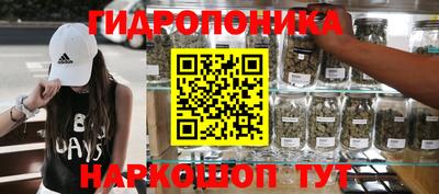 Альфа ПВП Ачхой-Мартан