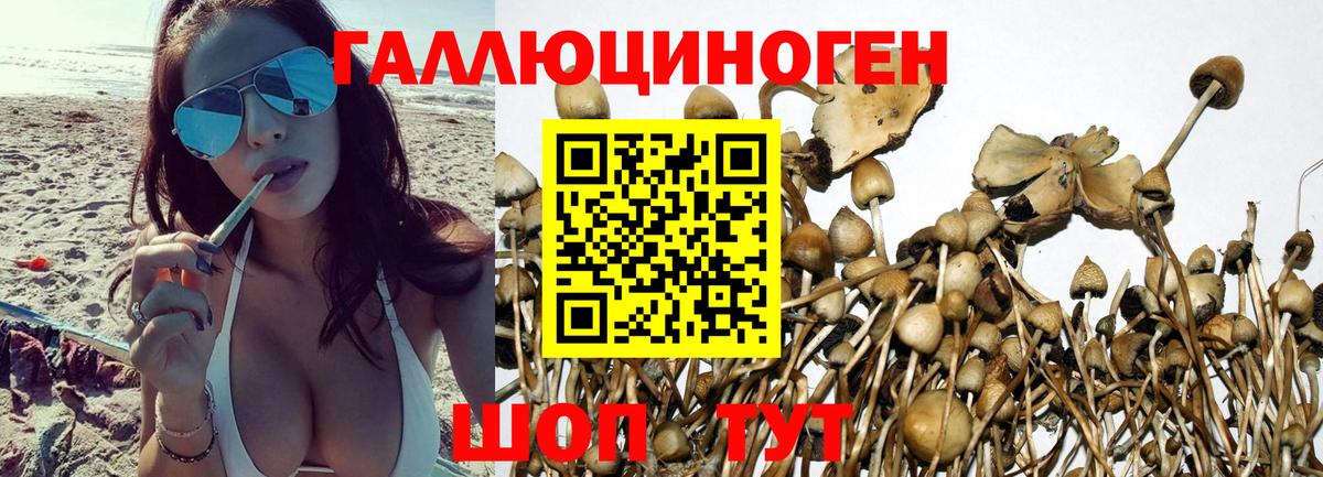 Галлюциногенные грибы GOLDEN TEACHER  Вход с VPN  Бутурлиновка 