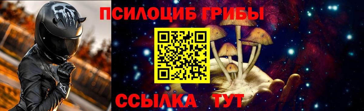 Галлюциногенные грибы Psilocybe Бутурлиновка